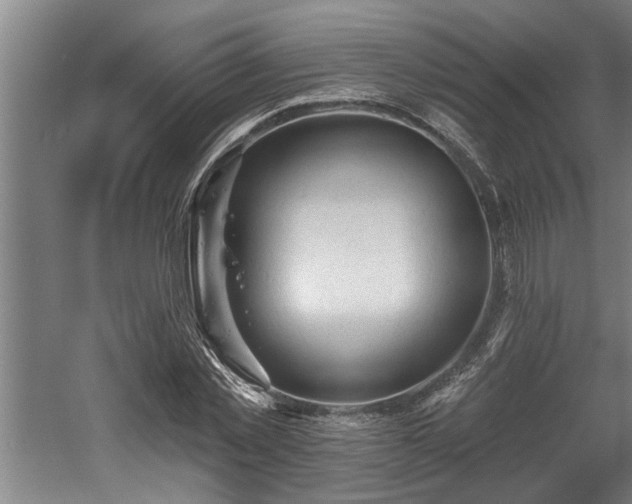 X0000060560781200511070946