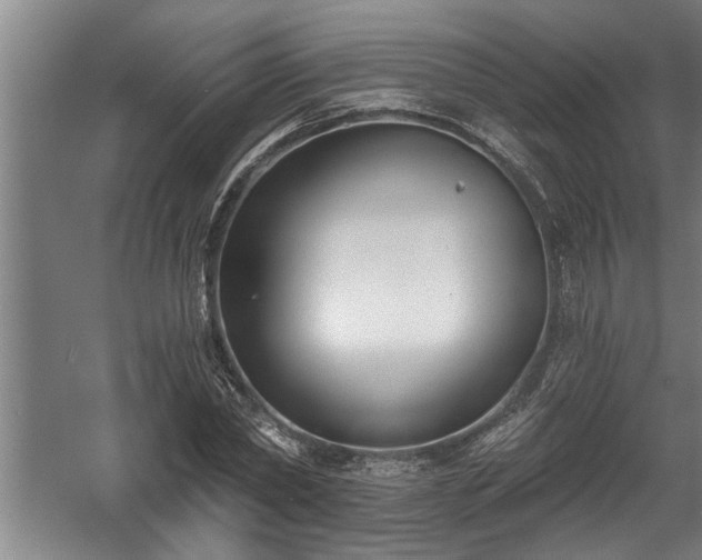 X0000060560782200511070946