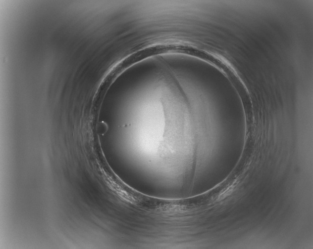 X0000060560783200511070946