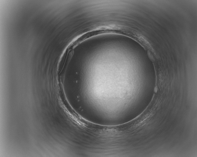 X0000060560784200511070946