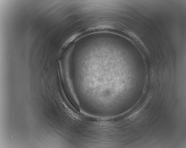 X0000060560785200511070946