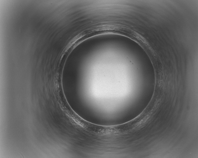 X0000060560786200511070946