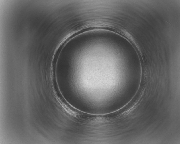 X0000060560787200511070946