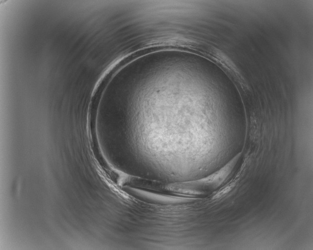 X0000060560788200511070946