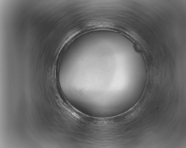 X0000060560790200511070946