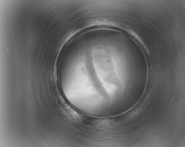 X0000060560791200511070946