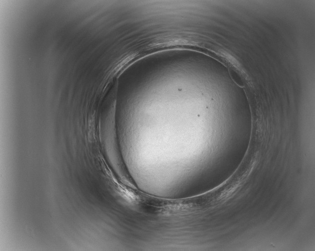 X0000060560793200511070946