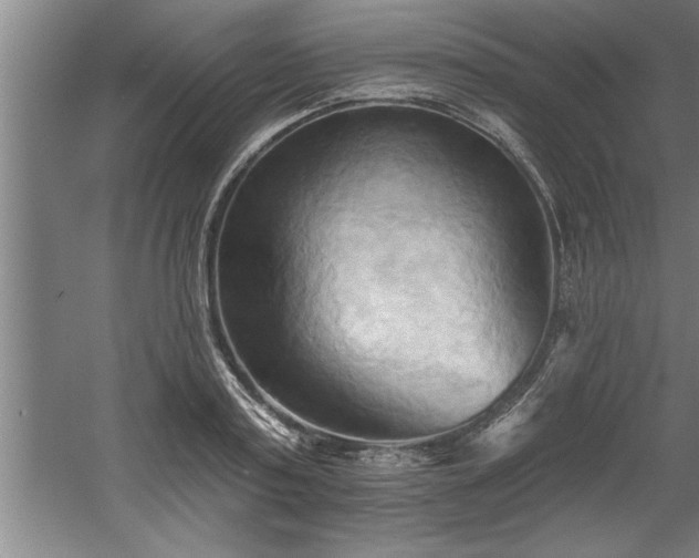 X0000060560795200511070946