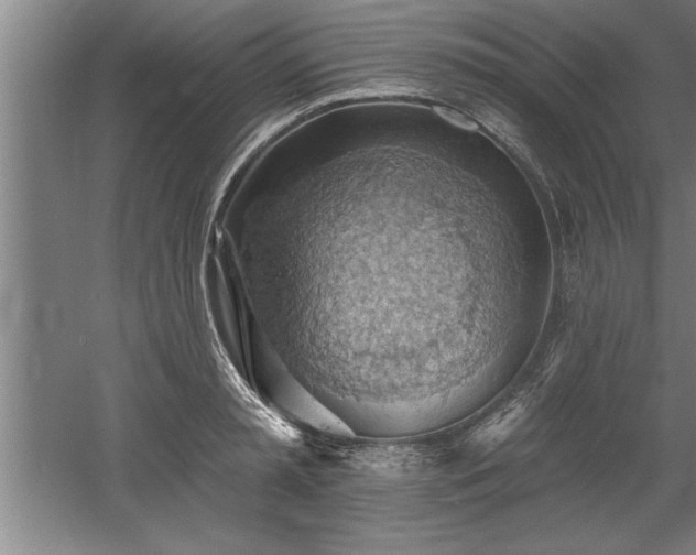 X0000060560797200511070946