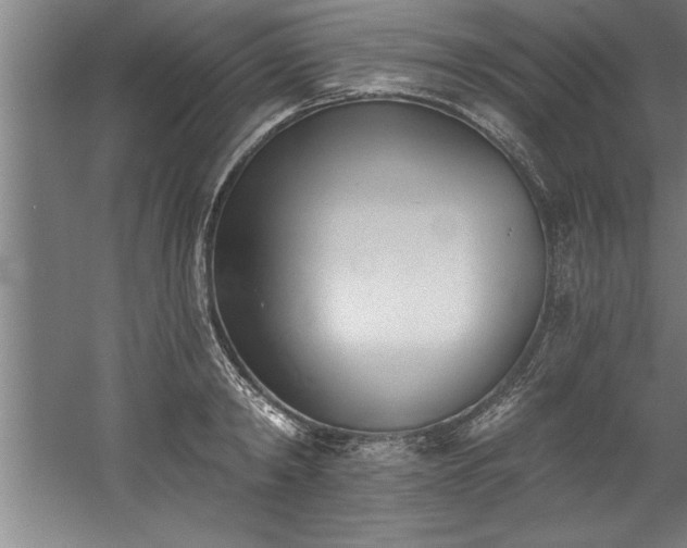 X0000060560798200511070946