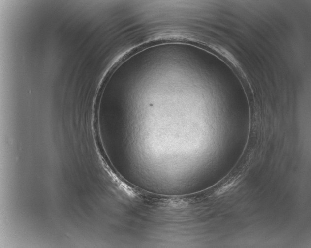 X0000060560799200511070946