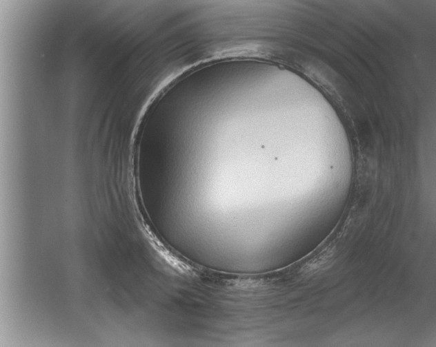 X0000060560800200511070946