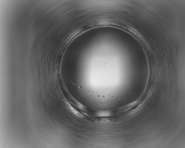 X0000060560801200511070946