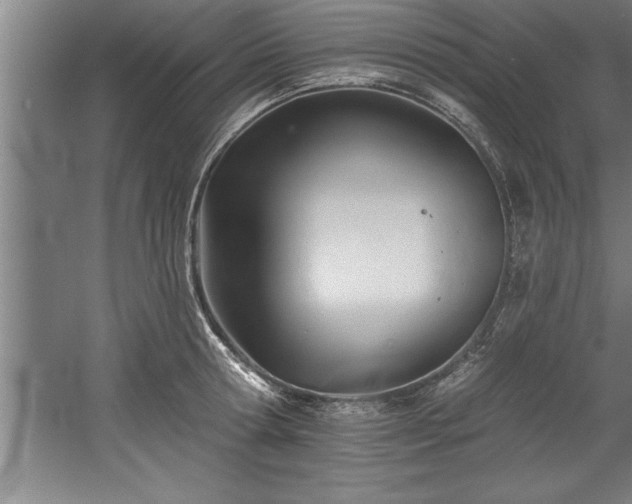 X0000060560802200511070946