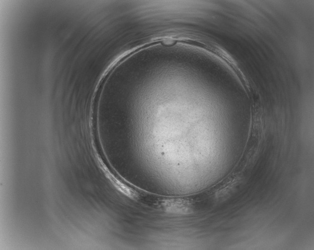 X0000060560803200511070946