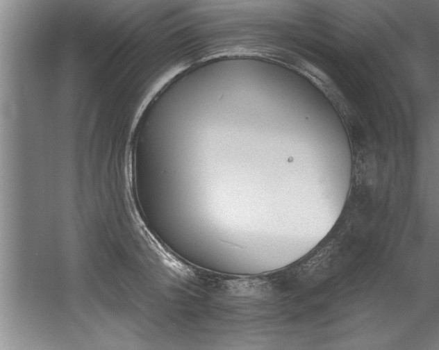 X0000060560804200511070946