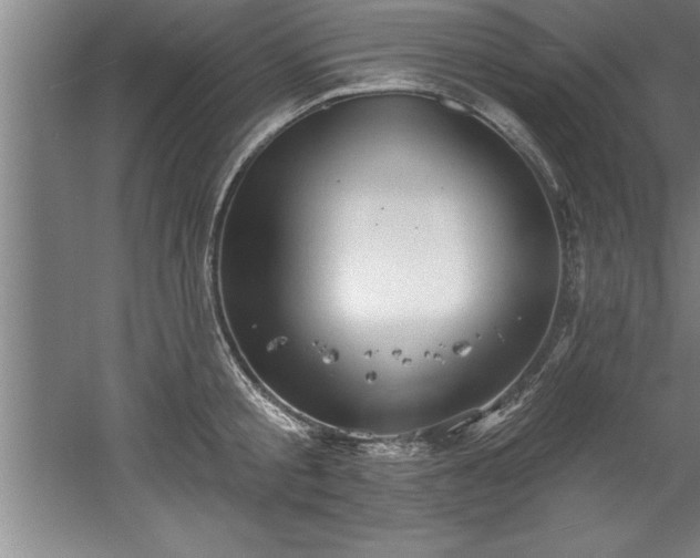 X0000060560805200511070946