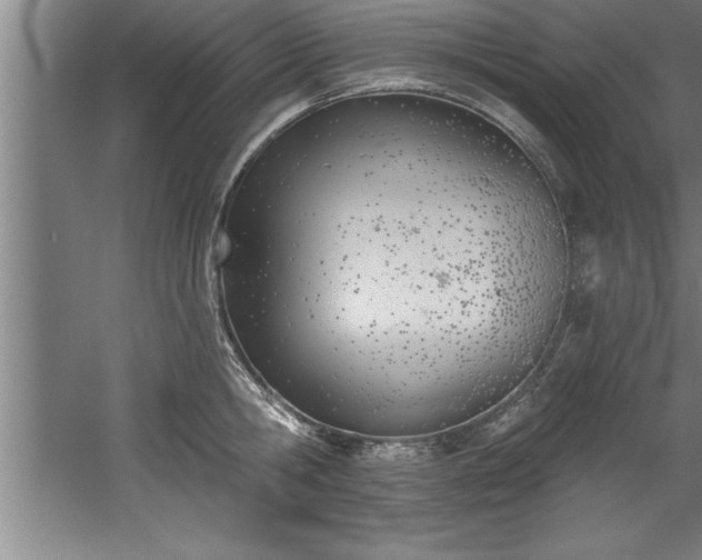 X0000060560806200511070946