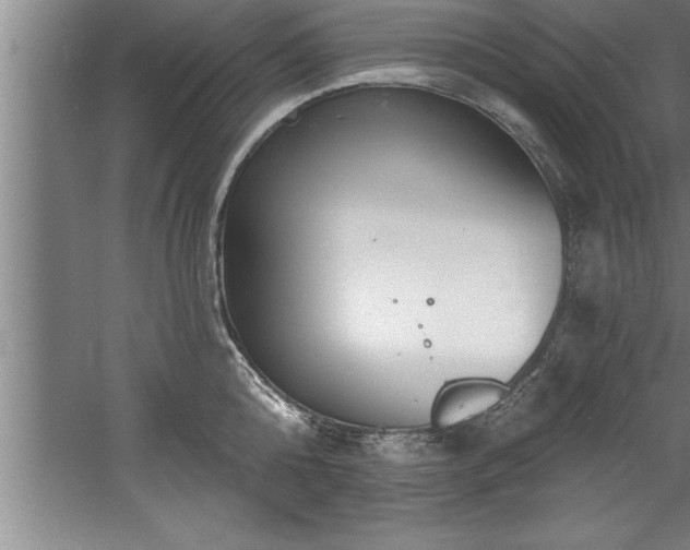 X0000060560808200511070946