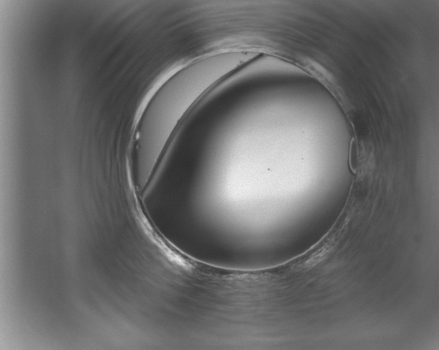 X0000060560812200511070946