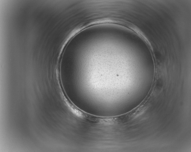 X0000060560813200511070946