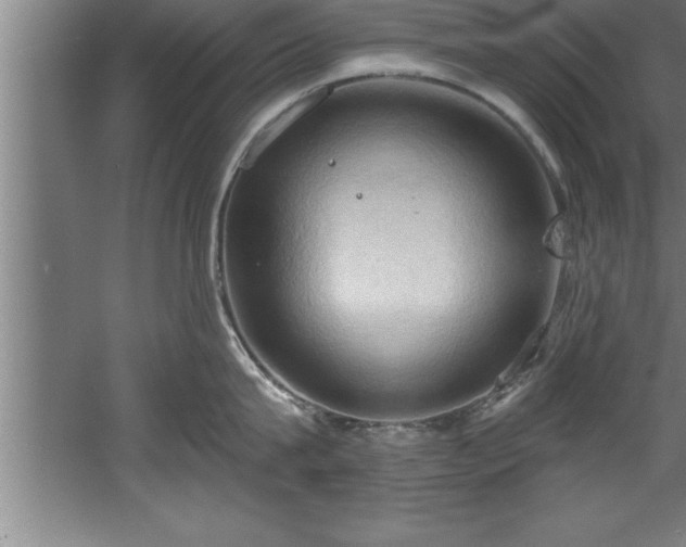 X0000060560815200511070946