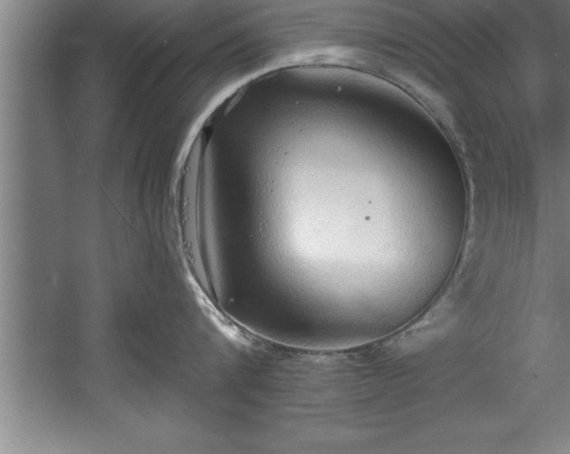 X0000060560816200511070946