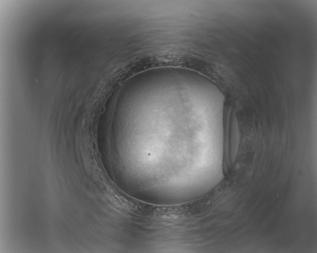 X0000060560817200511070945