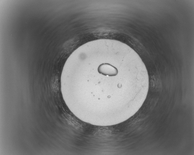 X0000060560820200511070945