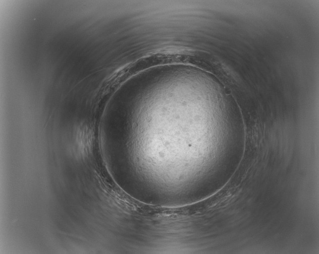 X0000060560821200511070945