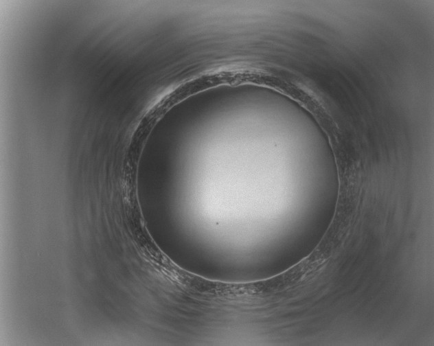 X0000060560823200511070945