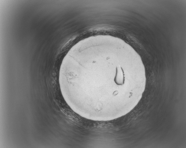 X0000060560824200511070945