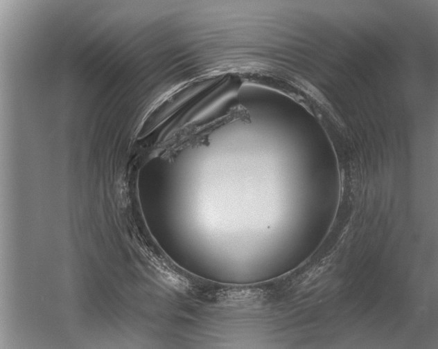 X0000060560826200511070945