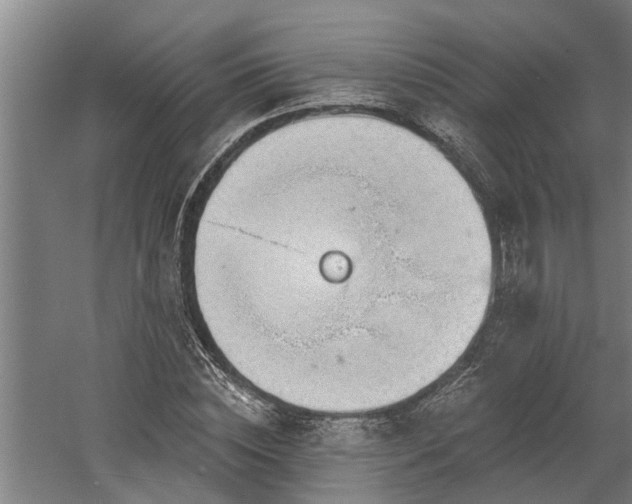 X0000060560828200511070945