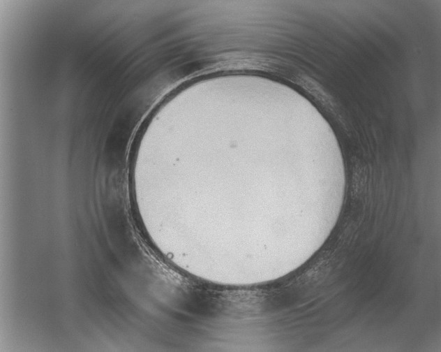 X0000060560836200511070945