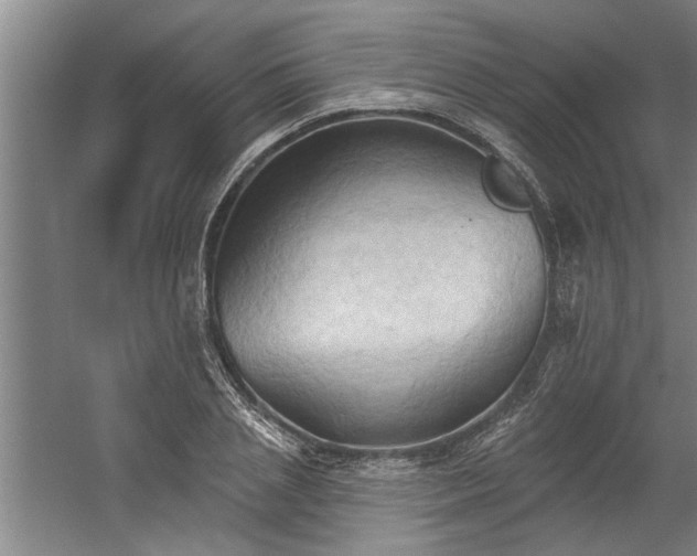 X0000060560837200511070945