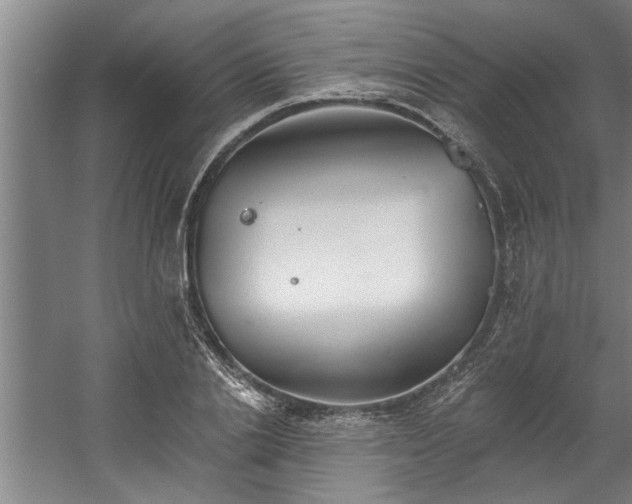 X0000060560838200511070945