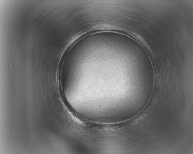 X0000060560839200511070945