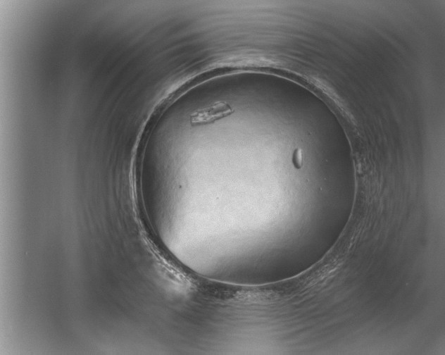 X0000060560840200511070945