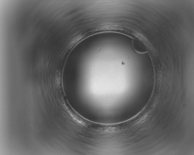 X0000060560841200511070945