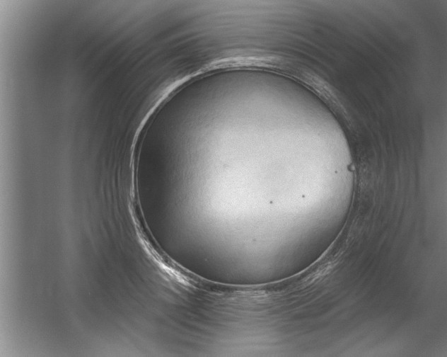 X0000060560844200511070945