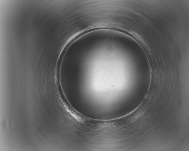 X0000060560846200511070945