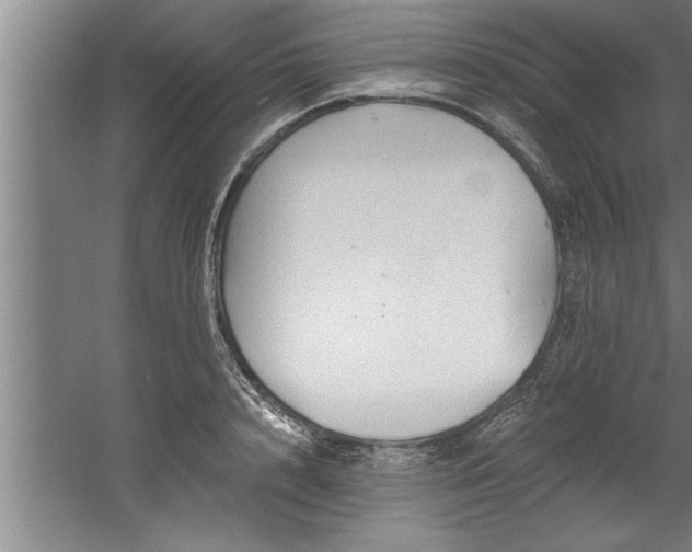 X0000060560848200511070945