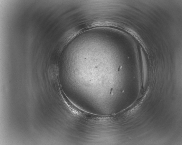 X0000060560849200511070945