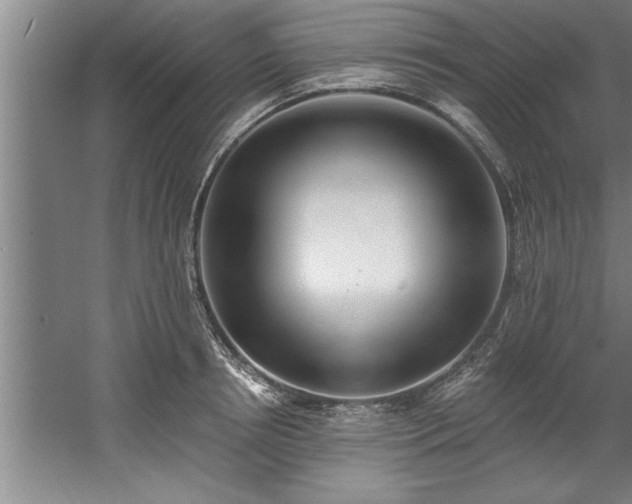 X0000060560850200511070945