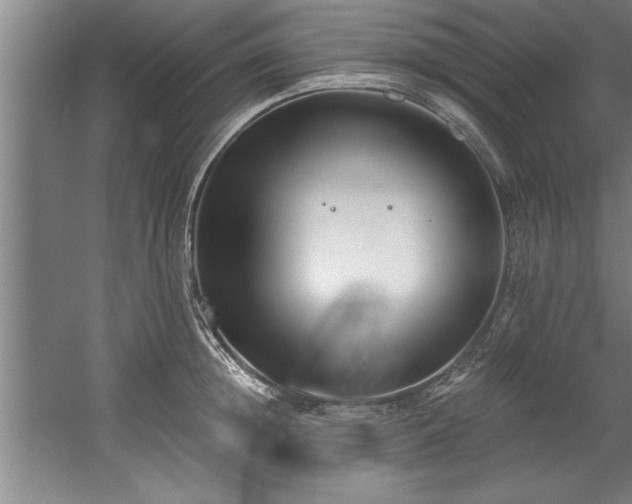 X0000060560852200511070946