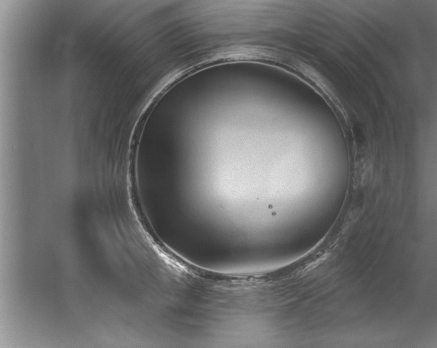 X0000060560853200511070946