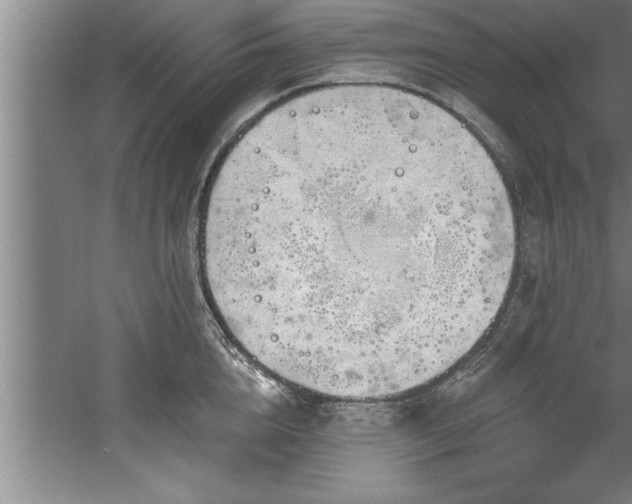 X0000060560856200511070946