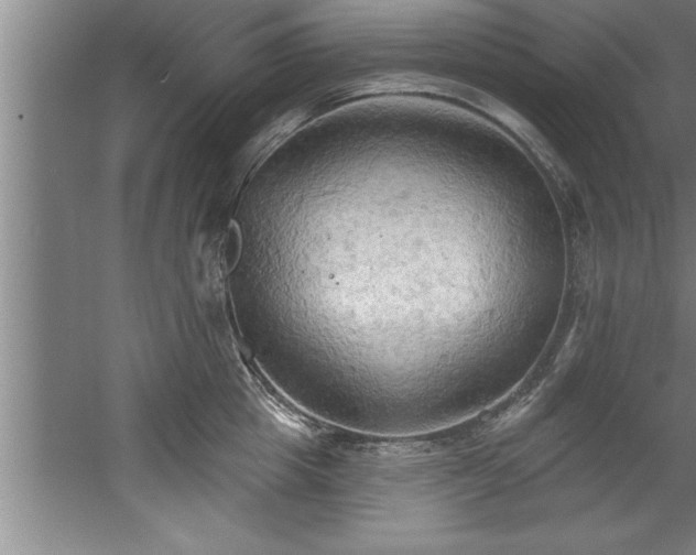 X0000060560857200511070946