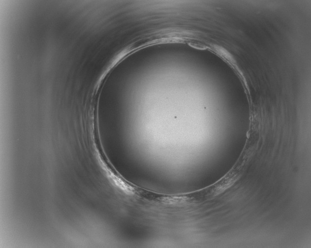 X0000060560859200511070946